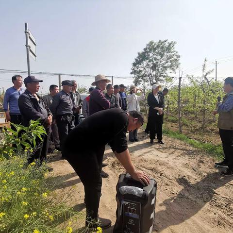 国内桃产业专家到邯山区指导果园生产