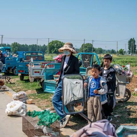 鲁南大集---邹坞