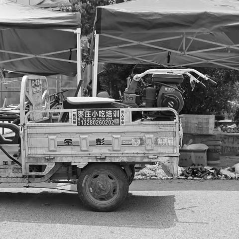 鲁南大集---棠阴