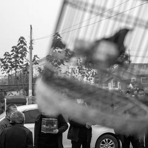 鲁南大集---千山头庙会