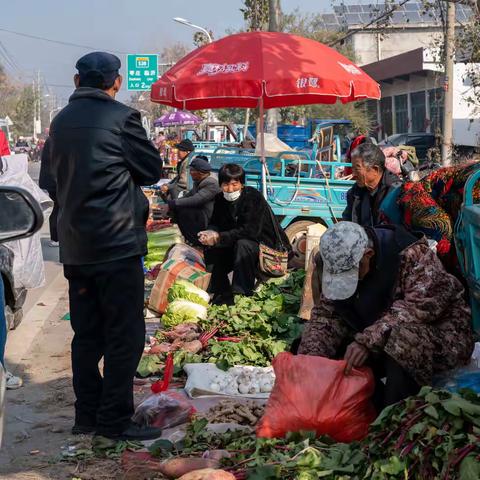 鲁南大集---萝藤