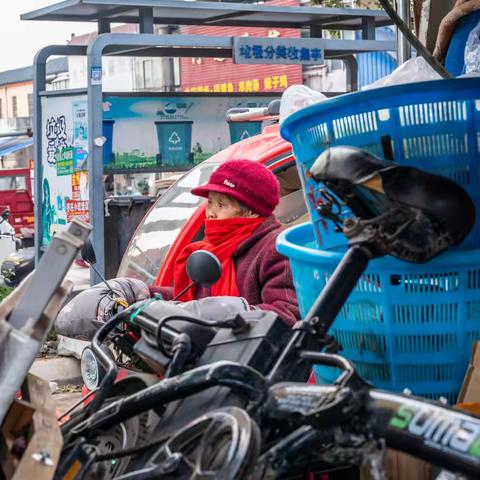 鲁南大集---阴平