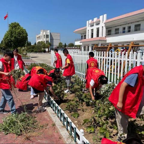 校园 菜园 乐园 --鲁山小学六年级劳动教育实践活动