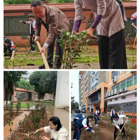 餐旅教学部党支部：党建带团建，义务植茶散发青春活力