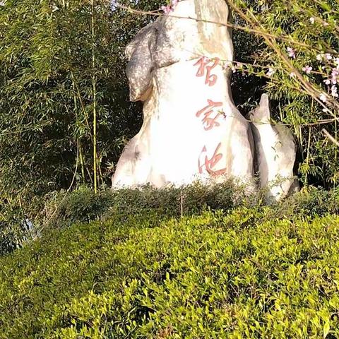 习家池活动出彩  联谊会倍感幸福