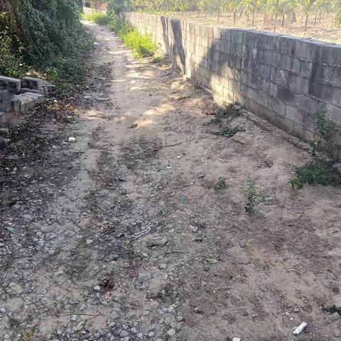 【福龙马崖州项目】改善农村人居环境，建设美丽宜居乡村，福龙马崖州项目正在进行中