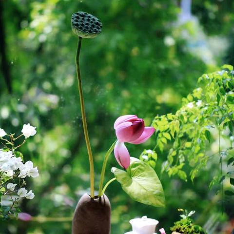 精研案为径，博览书作舟——滕州市初中语文课程领导力提升暨跨学科主题学习及表现性评价读书启动会纪实