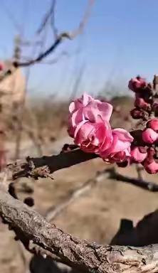 云泉谷、小五台赏花一日游