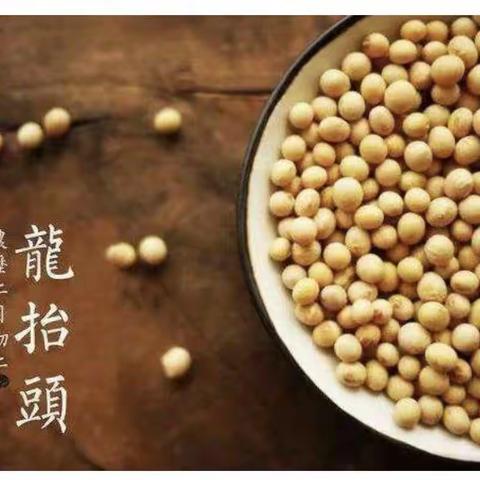 【金童乐幼儿园】二月二龙抬头