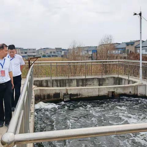 曹河乡人大代表联络站组织代表对推进农村污水治理情况开展专项调查