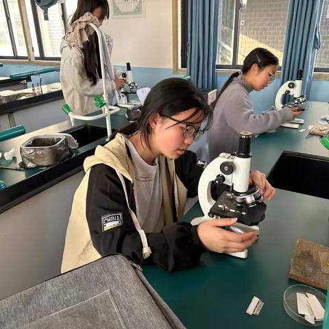 生物实验兴趣社团活动总结