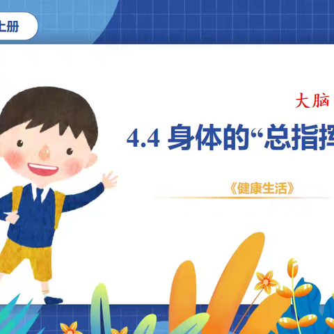 五年级上册4.4《身体的“总指挥”》教学反思