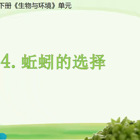 五年级下册1.4《蚯蚓的选择》教学反思