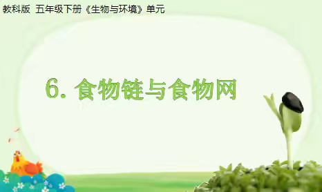 五年级下册1.6《食物链和食物网》教学反思