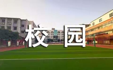 岁月留痕（16） 校园，我永驻心中的岁月 ——同学