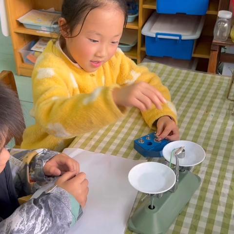 科学区：天平秤重