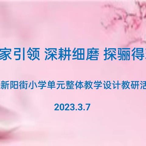 专家引领 深耕细磨 探骊得珠——阳曲县新阳街小学单元整体教学设计教研活动