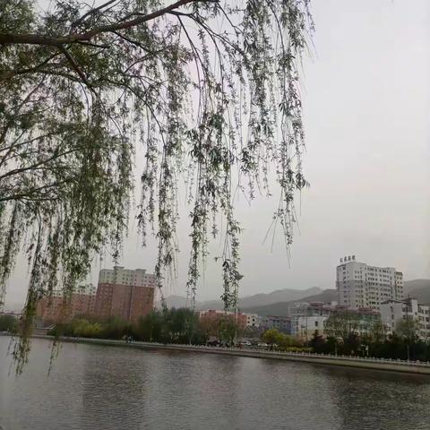 北方的夏季雨