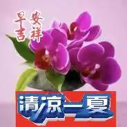 发朋友圈帖子