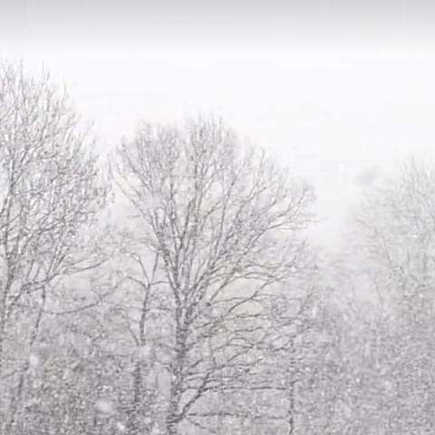 雪花尽力燃烧过