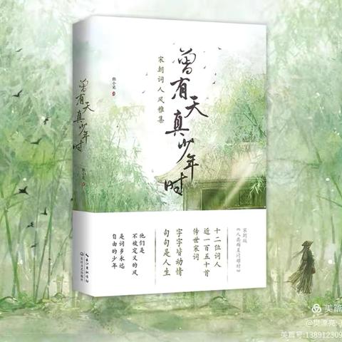 风雅宋的十二次古典漫游 《曾有天真少年时》—读书分享