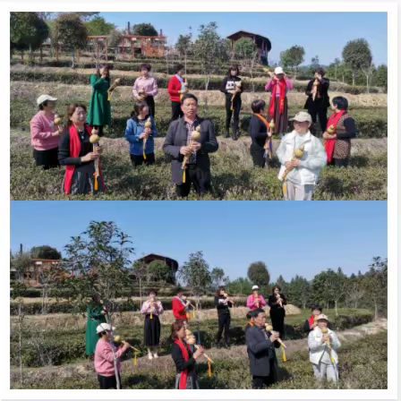 翠茶迎接宾众人乐  芦笙丝语醉春风——2023年春季宽七快速入门班期末展示