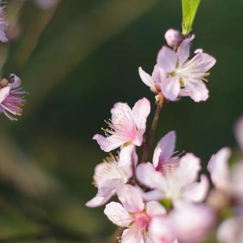 2023年江西省骨干教师培训第二篇章——让教育充满爱