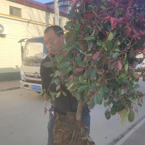 河北村整治环境纪实