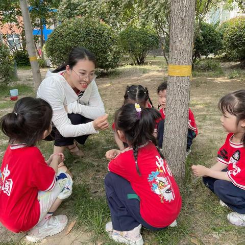 立德树人育桃李，耕耘幼教绽芳华——教师风采（十一）