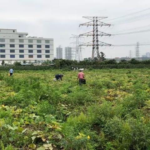 文旅办一周工作简报（2023年5月13日-5月19日）