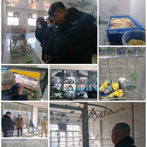 抚宁区资源规划局联合森林警察大队开展野生动物保护专项检查