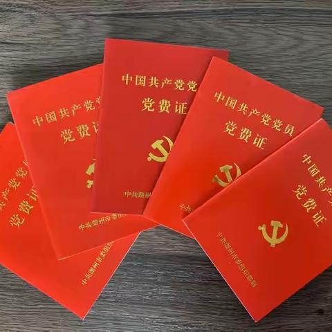 学习两会精神 提振发展动力——湖州市南浔区育才中学党支部2月主题党日活动