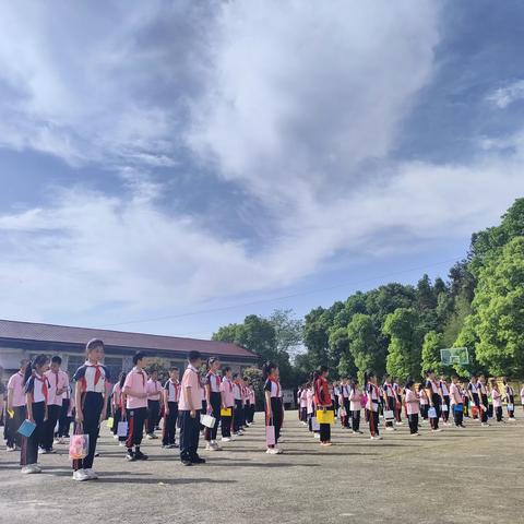 车前巷小学与马良学校劳动实践活动