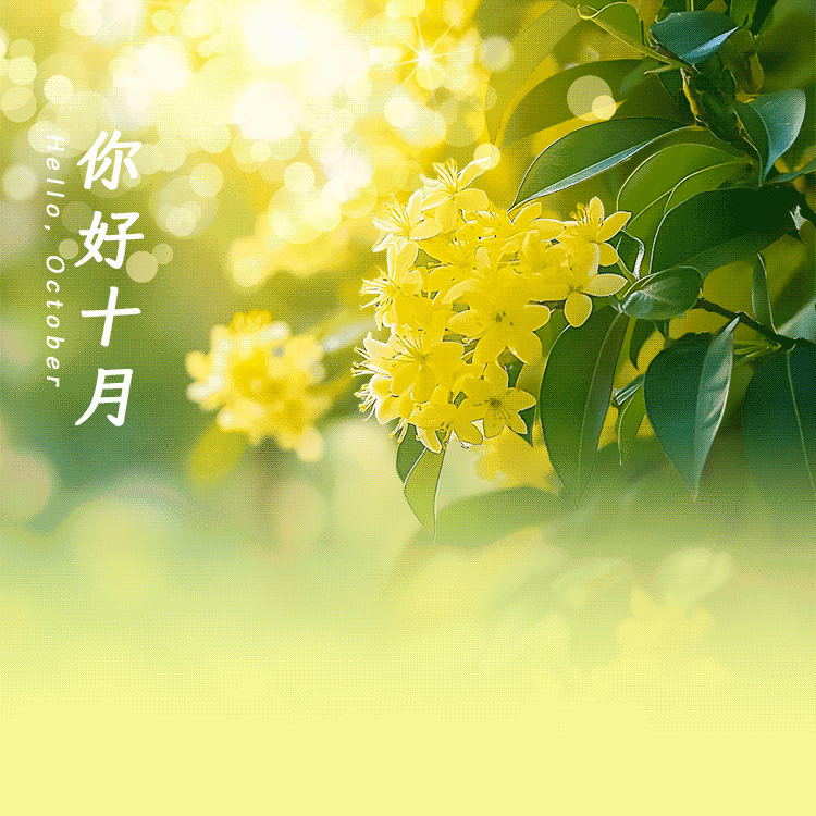 共建美丽小区 打造幸福家园——县城居民小区综合环境整治工作致全体市民倡议书