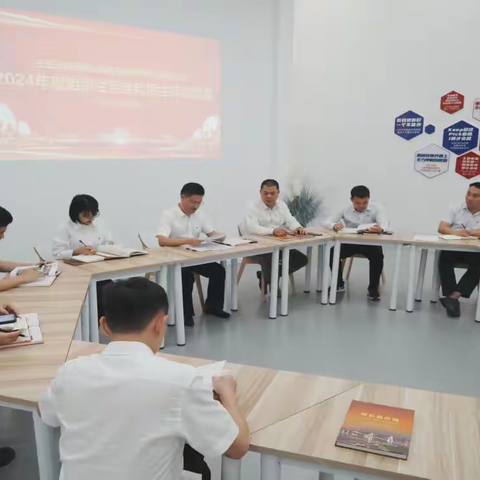 三亚凤凰岛国际邮轮港发展有限公司党总支顺利召开2024年度组织生活会和民主评议党员会议