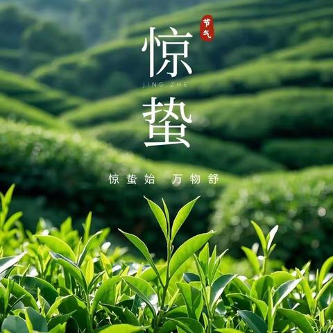 黄龙：惊蛰至，万物苏