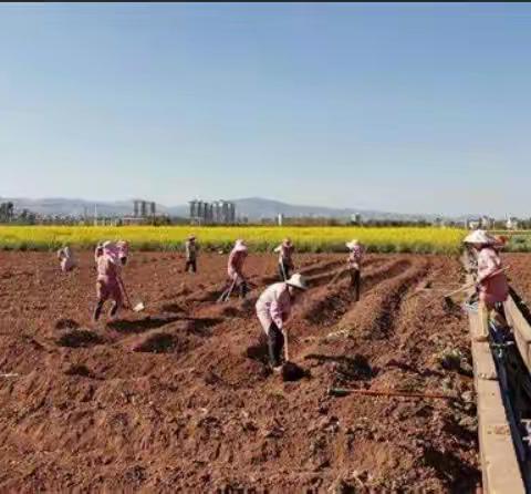 黄龙：开展春耕春播气象服务 助力春季农业生产