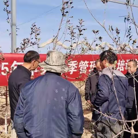 黄龙: 冬管培训打通服务果农 “最后一公里”理论实操双驱动