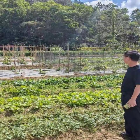 谋划产业发展，促农销售增收