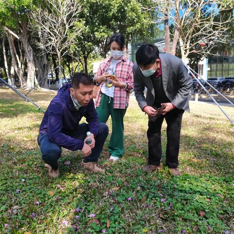 市绿化处副处长范冰同志带队调研市管绿地新中标标段绿化养护工作