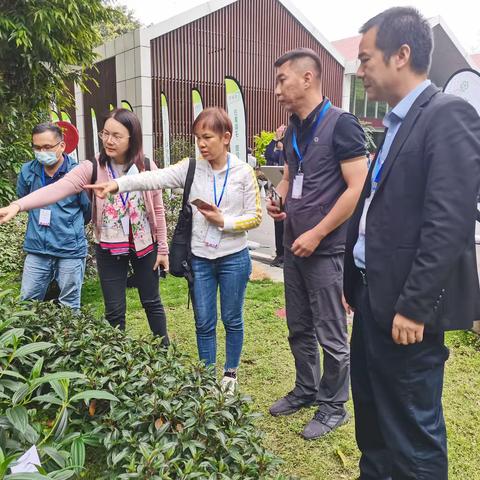 市绿化处组织技术人员前往广州市现场观摩新优花卉品种展示会