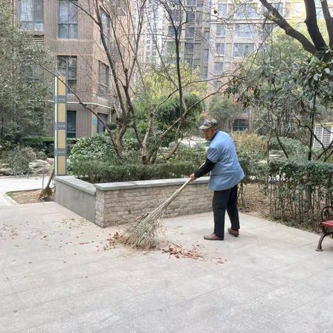 零距离服务||开展爱国卫生运动，共筑整洁健康家园
