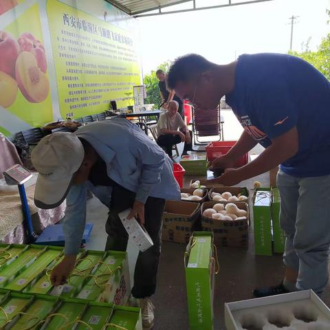 区农检中心开展承诺达标合格证“亮证”抽查及绿色食品认证基地证后监管