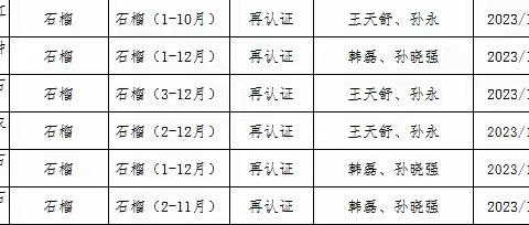临潼区6家良好农业认证（GAP）顺利通过复查换证工作
