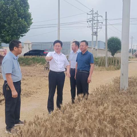 市委副书记、代市长刘建龙莅临马牧镇调研督导“三夏”生产工作