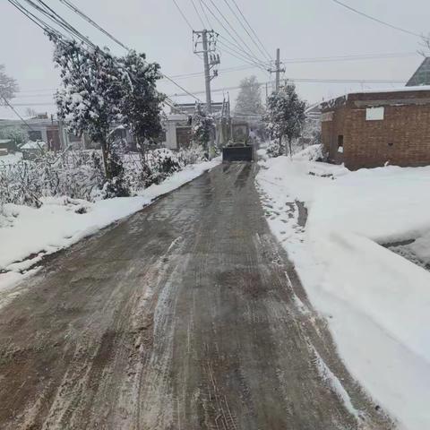 清雪除冰，保出行平安—相桥街道开展道路清雪除冰工作