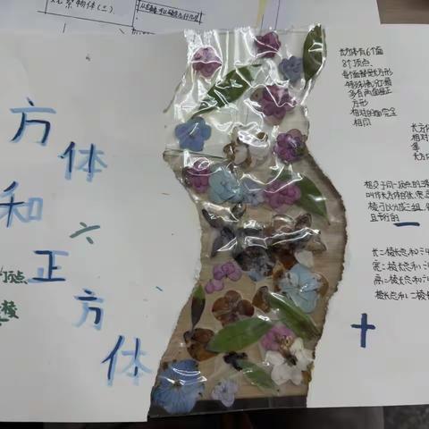 【百年城小·点亮梦想】精耕细“作”，“业”精于勤——特色作业展示