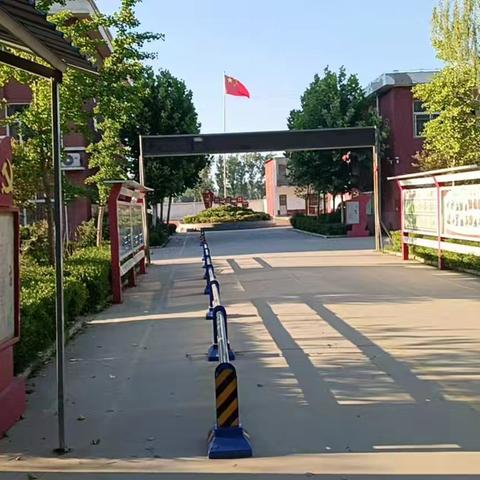 书山跋涉终登顶，金榜题名启新程