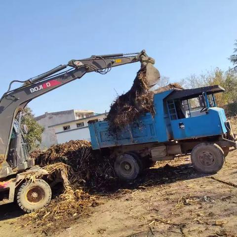何寨街道开展农村人居环境整治“冬季战役”