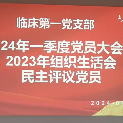 临一支部召开2024年一季度党员大会暨2023年度专题组织生活会和民主评议党员